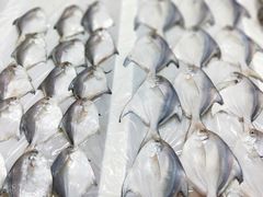 -京深海鲜市场(光彩路店)