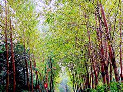 -长春公园(普阳街道)