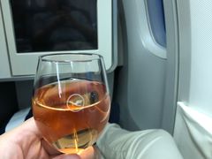 -德国汉莎航空公司