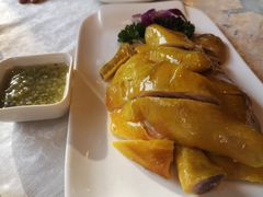 清远白切鸡-粤秀小厨·广式早茶(辽宁路店)