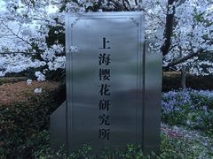-顾村公园