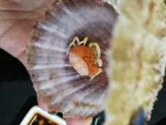 -大锅强·蒸海鲜青岛菜(吾悦广场店)