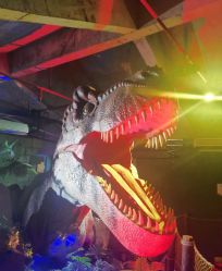-恐龙探索乐园(磁器口店)