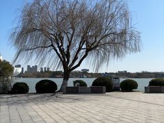 -东湖景区