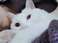 -北京恒爱动物医院(清景园分院)