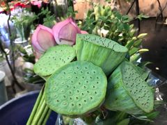 -双季花艺园艺市场(浦东店)