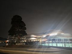 -野狸岛