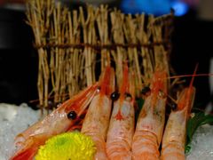 -乌君·酒场·炭火烧鸟(侨城坊店)
