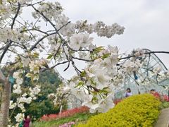 -南山植物园
