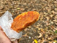 -午潮山国家森林公园