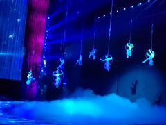 -水秀国际大剧院