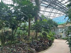 -南山植物园
