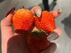 -舟市水产蒸汽活海鲜自助(卓悦汇店)