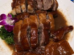 -潮粤香海鲜酒楼(沙湖店)