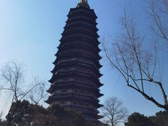 -红梅公园