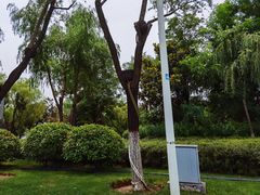 -灞河西岸滨河公园