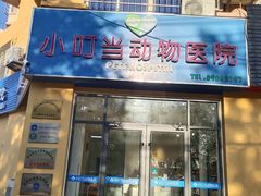 -小叮当动物医院·骨科·眼科