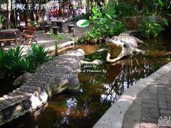 -是拉差龙虎园(Permanently closed)