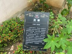 -正佳雨林生态植物园