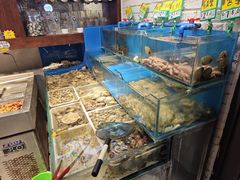 -潮庭·大连海鲜·炭火烧烤·扇贝王(大连店)