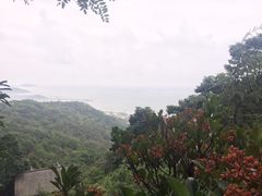 -石老人观光园