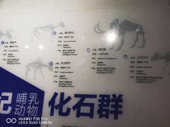 -国家自然博物馆