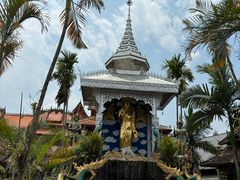 -西双版纳傣族园