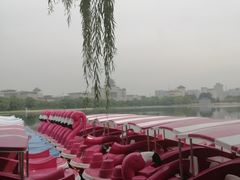 -莲花池公园