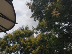 -苏州河梦清园环保主题公园