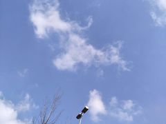 -秀丽东方