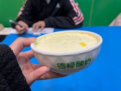 -德禄酸奶(莫家街店)