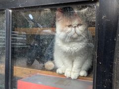 -济南轻骑摩托车有限公司(和平路)