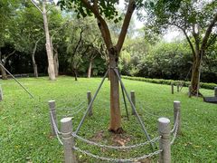 -深圳国际园林花卉博览园