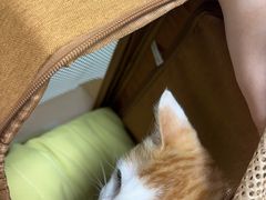 -嘉馨宠物医院·CT影像转诊·心脏科·犬猫全科诊疗中心(下沙大学城院区)