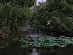 -墅园