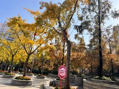 -上海不夜城广场(上海不夜城金融大厦店)