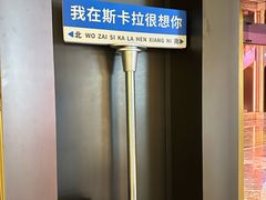 -斯卡拉演艺集团