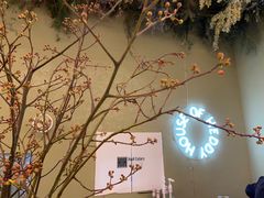 -PlantsEatery·植物食堂(REX春熙店)