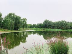 -东郊湿地公园