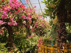 -呀路古热带植物园