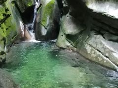 -黑河国家森林公园