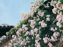 -惠山古镇·寄畅园