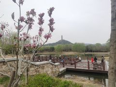 -北坞公园