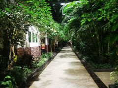 -天宫南铂玫瑰园酒店