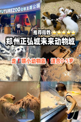 -未来动物城主题公园(正弘城店)