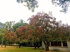 -华南国家植物园-售票处