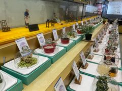 -披云徽府(繁华大道店)