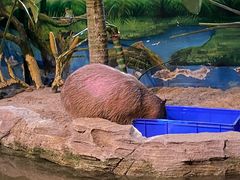-海合安武汉极地海洋公园