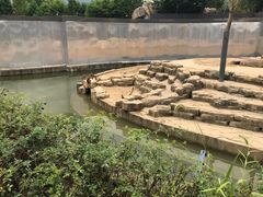 -上方山森林动物世界
