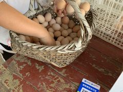 -马陆小张葡萄园农家乐